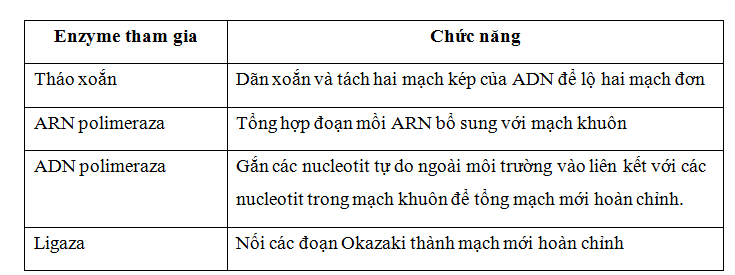 http://img.toanhoc247.com/picture/2015/0529/he-enzyem-tham-gia-tai-ban.png