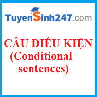 Các loại câu điều kiện cơ bản (Conditional sentences)