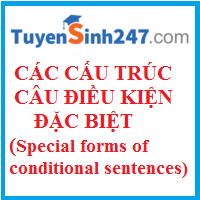 Các cấu trúc câu điều kiện đặc biệt (Special forms of conditional sentences)