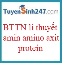 BTTN lí thuyết amin - amino axit - protein ( có đáp án)