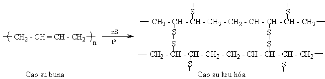 Tính chất hóa học của polyme của cao su buna