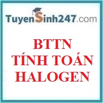 BTTN tính toán halogen