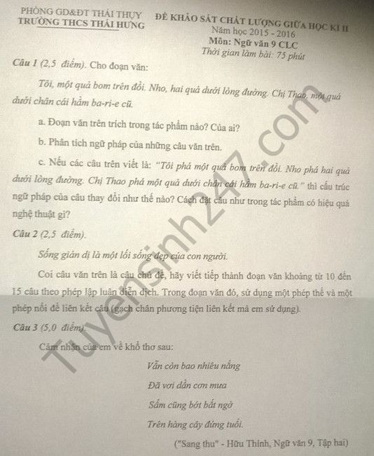 Đề thi giữa học kì 2 lớp 9 môn Văn 2016 – THCS Thái Hưng