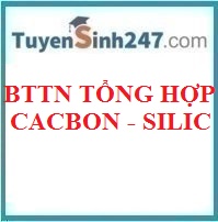 BTTN tổng hợp cacbon - silic