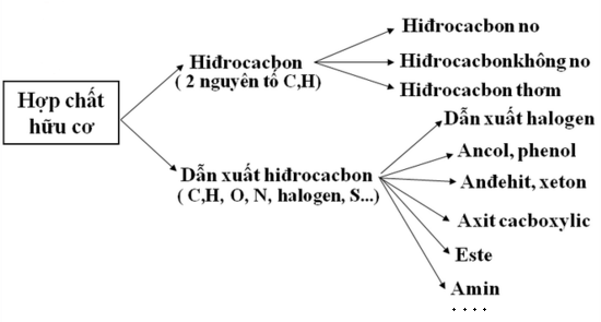 Khái niệm hóa học hữu cơ, hợp chất hữu cơ – hoahoc247.com