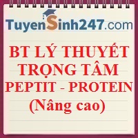 Bài tập lý thuyết trọng tâm peptit và protein (nâng cao)