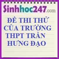 Đề thi thử môn Sinh học của trường THPT Trần  Hưng Đạo 