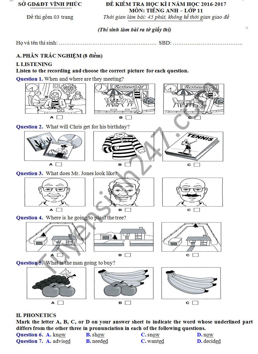 Đề thi học kì 1 môn Tiếng Anh lớp 11 - Sở GD&ĐT Vĩnh Phúc năm 2016-2017