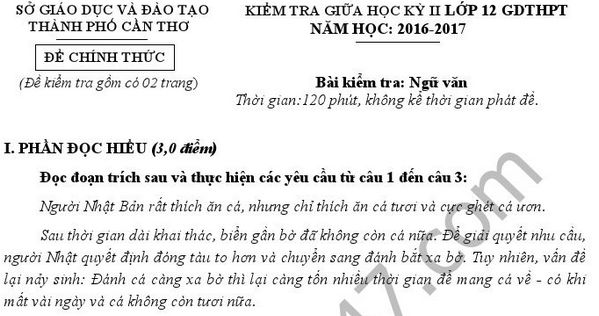 Đề thi giữa học kì 2 lớp 12 môn Văn - Sở GDĐT TP Cần Thơ 2017