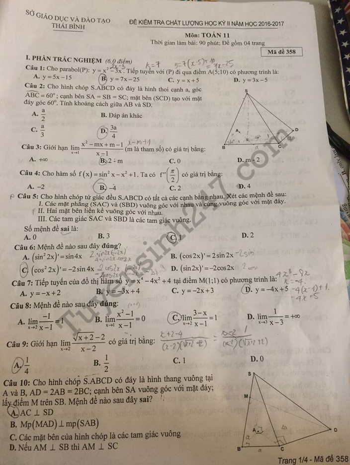 Đề thi cuối học kì 2 lớp 11 môn Toán Sở GD Thái Bình 2017