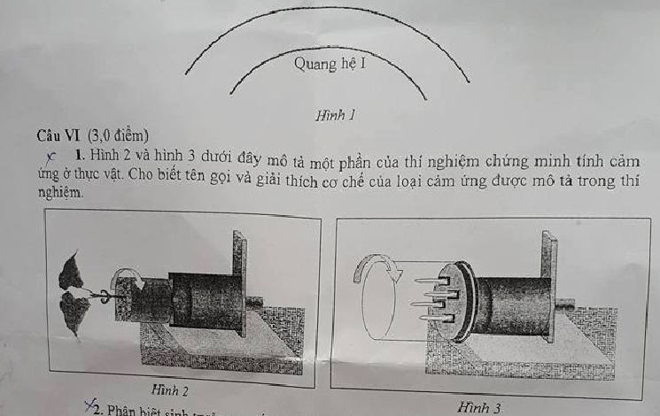 Đề thi chọn HSG môn Sinh lớp 12 năm 2017 - TP Hà Nội