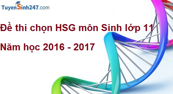 Đề thi chọn HSG môn Sinh lớp 11 - THPT Thuận Thành 1 - Bắc Ninh năm học 2016 - 2017( Có lời giải chi tiết)