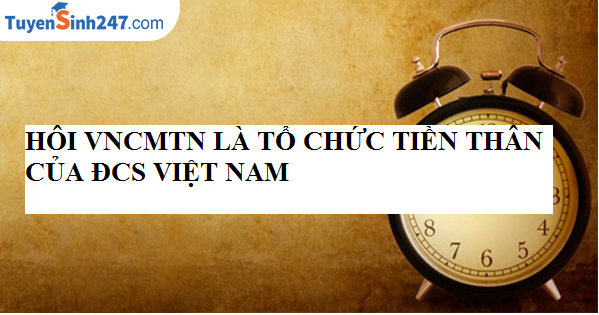 Hội Việt Nam Cách mạng Thanh niên là tổ chức tiền thân của Đảng Cộng sản Việt Nam 