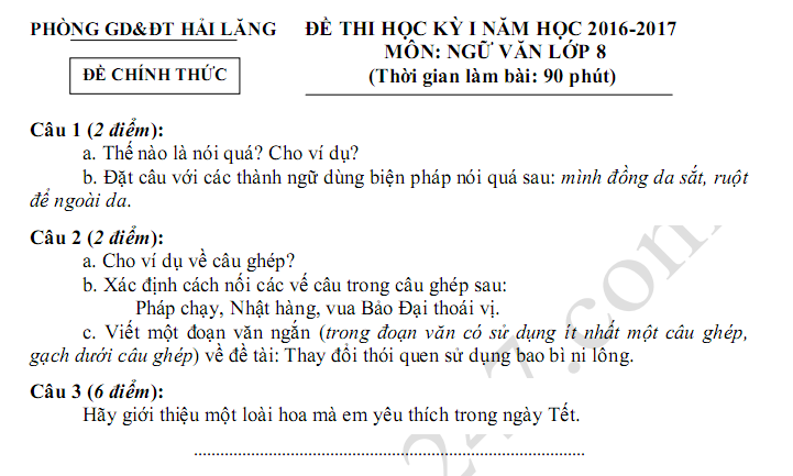 Đề thi học kì 1 năm 2017 môn Văn lớp 8 - Hải Lăng