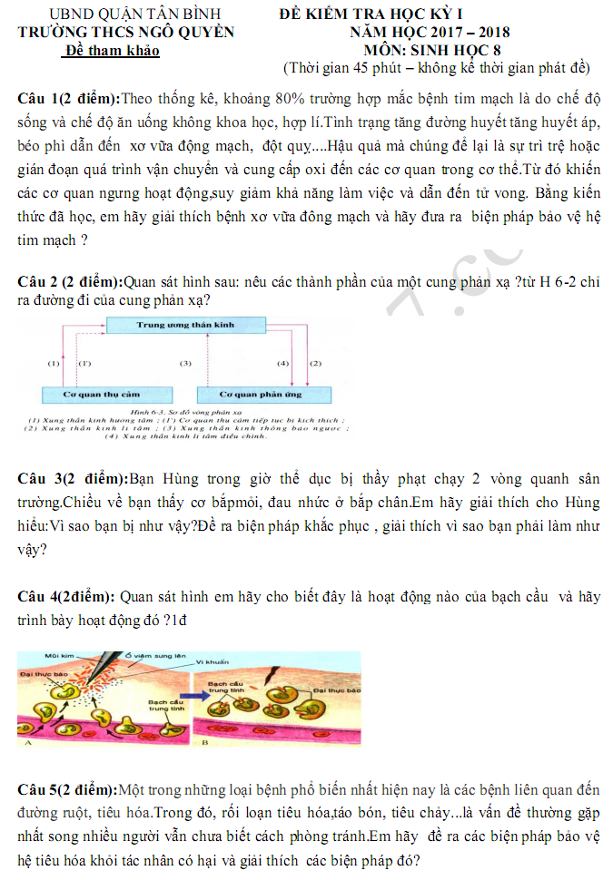 Đề kiểm tra học kì 1 lớp 8 môn Sinh  - THCS Ngô Quyền 2017