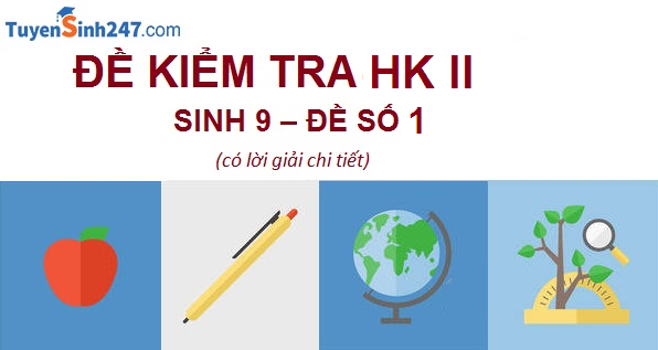 Đề kiểm tra HK II - Sinh học 9 - Đề 1(có lời giải chi tiết)