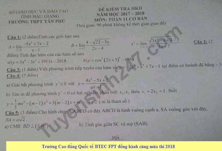 Đề thi học kì 2 lớp 11 môn Toán năm 2018 - THPT Tân Phú