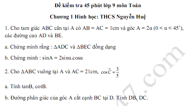 Đề kiểm tra 45 phút lớp 9 môn Toán Chương 1 Hình học - THCS Nguyễn Huệ