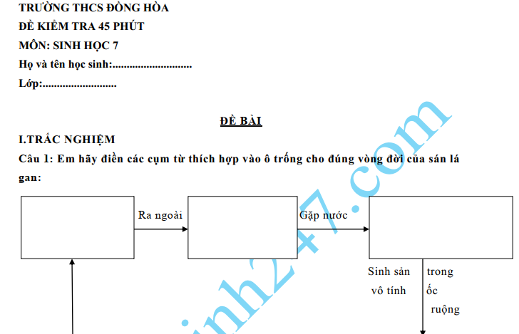 Đề kiểm tra 45 phút lớp 7 môn Sinh học kì 1 - THCS Đồng Hòa
