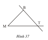 hinh 37