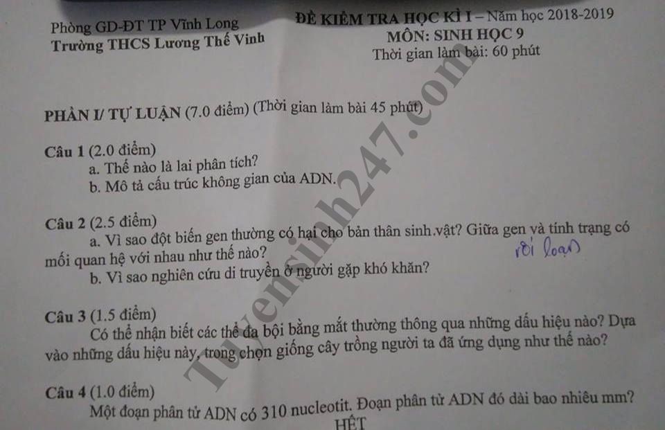 Đề thi học kỳ 1 lớp 9 môn Sinh năm 2018 - THCS Lương Thế Vinh 