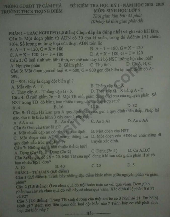 Đề thi học kì 1 lớp 9 môn Sinh năm 2018 - THCS Trọng Điểm 