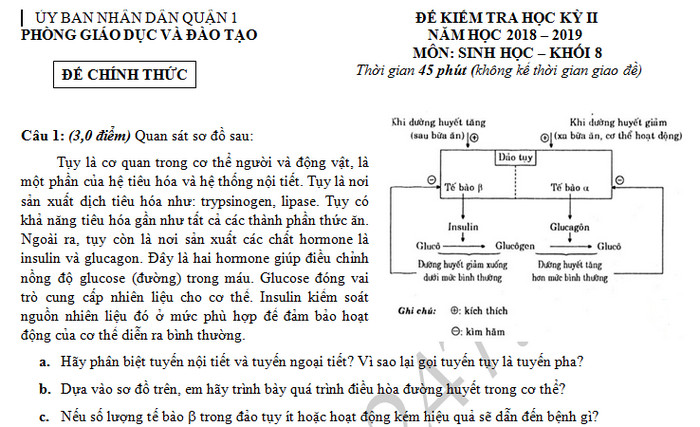 Đề thi học kì 2 lớp 8 môn Sinh - Quận 1 năm 2019