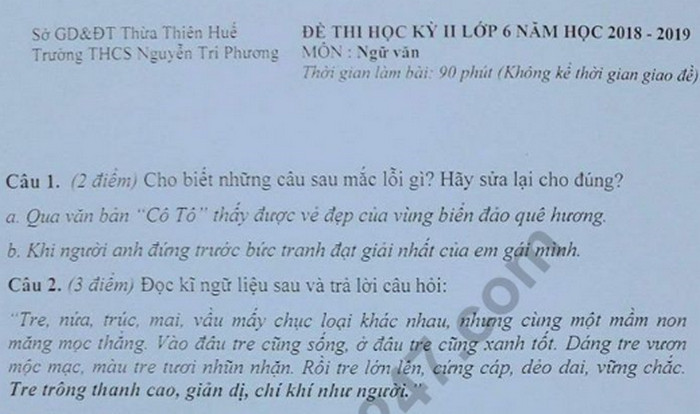 Đề thi học kì 2 lớp 6 môn Văn - THCS Nguyễn Tri Phương 2019