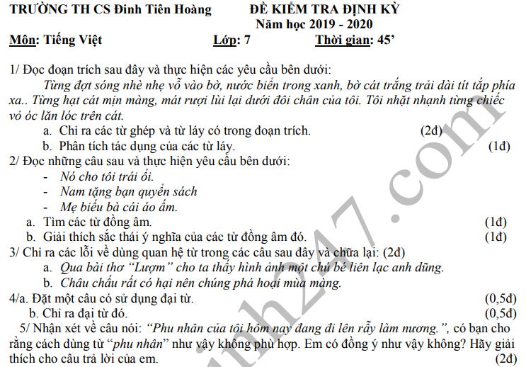 Đề thi kì 1 lớp 7 môn Văn THCS Đinh Tiên Hoàng 2019 - 2020 