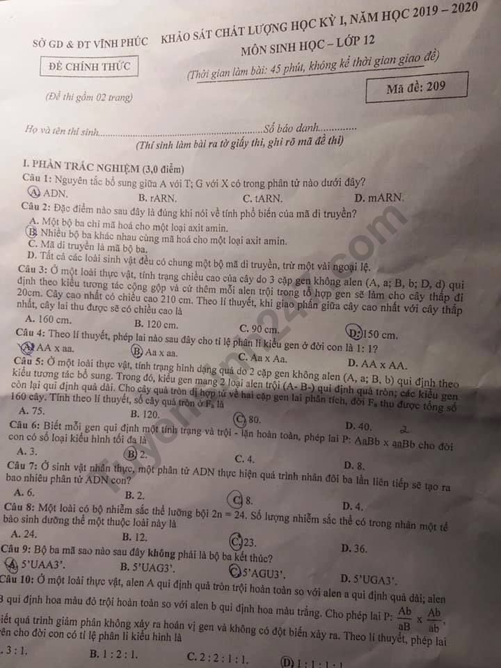 Đề thi học kì 1 Sinh lớp 12 năm 2019-2020 Sở GD&ĐT Vĩnh Phúc 