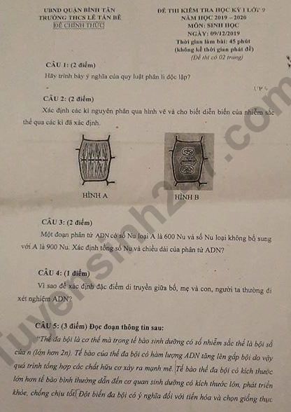 Đề thi môn Sinh kì 1 lớp 9 THCS Lê Tấn Bê năm 2019-2020 