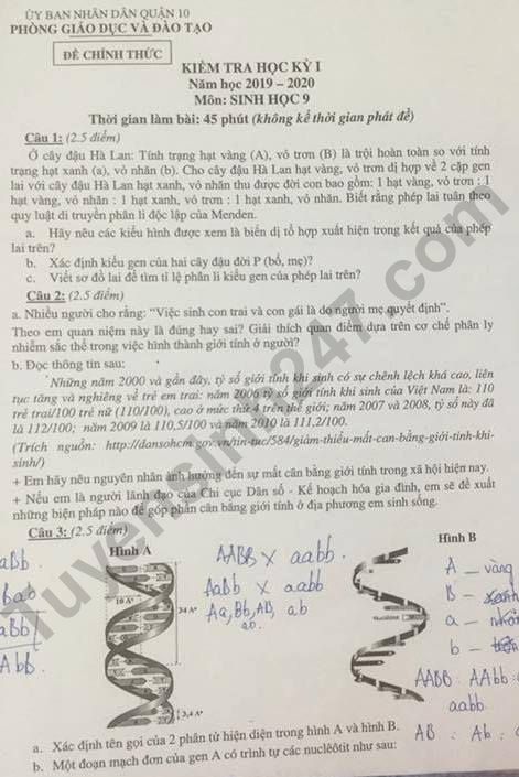 Đề thi môn Sinh  kì 1 lớp 9 Phòng GD&ĐT Quận 10 năm 2019-2020