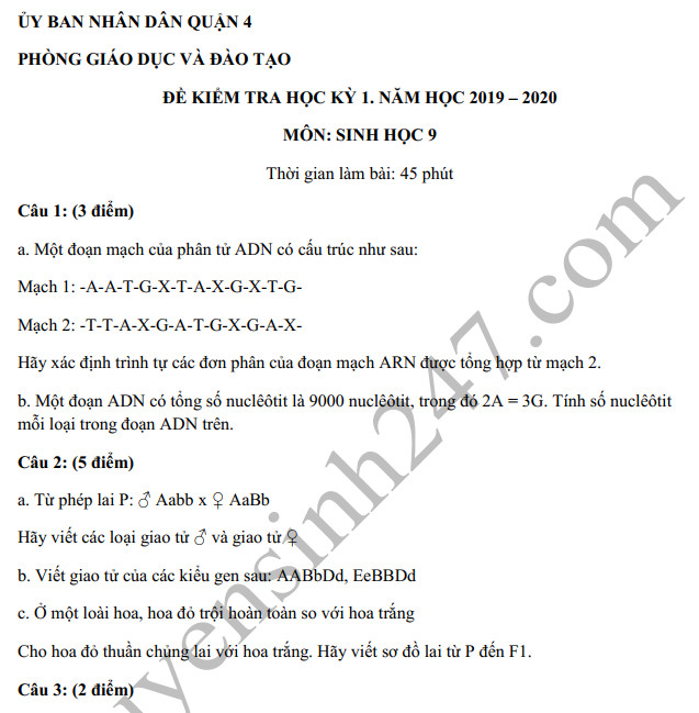 Đề thi  kì 1 môn Sinh lớp 9 năm 2019 Phòng GD&ĐT Quận 4 