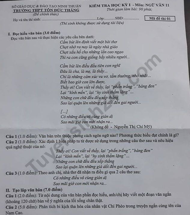 Đề thi lớp 11 kì 1 môn Văn - THPT Tôn Đức Thắng năm 2019