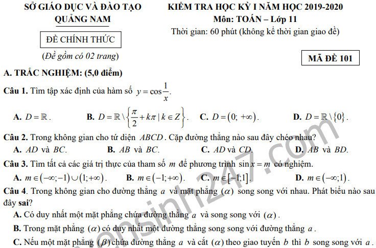 Đề thi kì 1 môn Toán lớp 11 năm 2019 Sở GD Quảng Nam