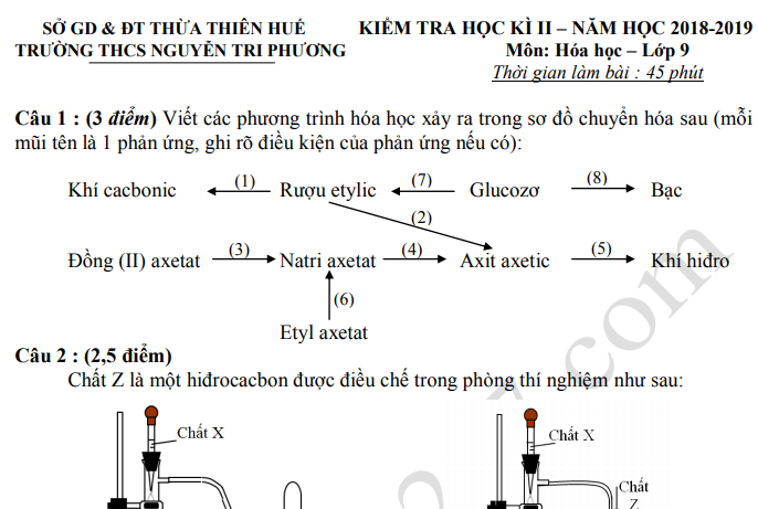 Đề thi kì 2 lớp 9 môn Hóa THCS Nguyễn Tri Phương 2019