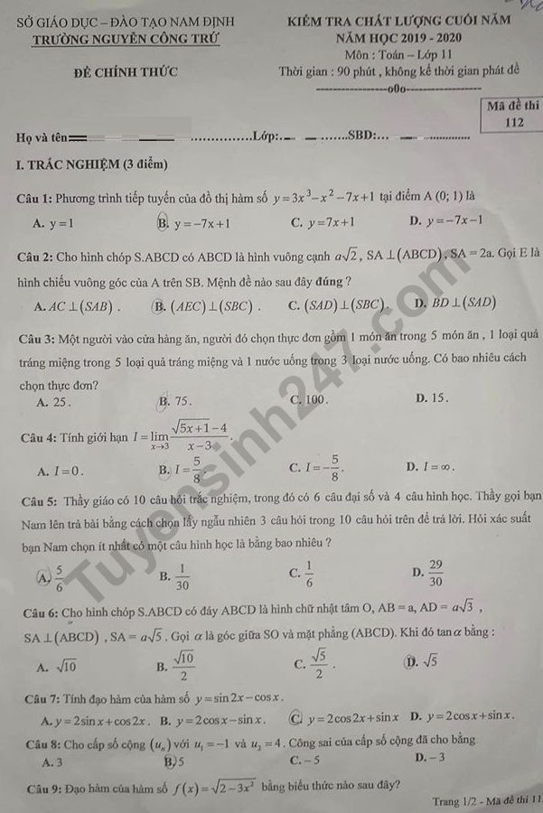 Đề thi kì 2 môn Toán lớp 11 năm 2020 - THPT Nguyễn Công Trứ