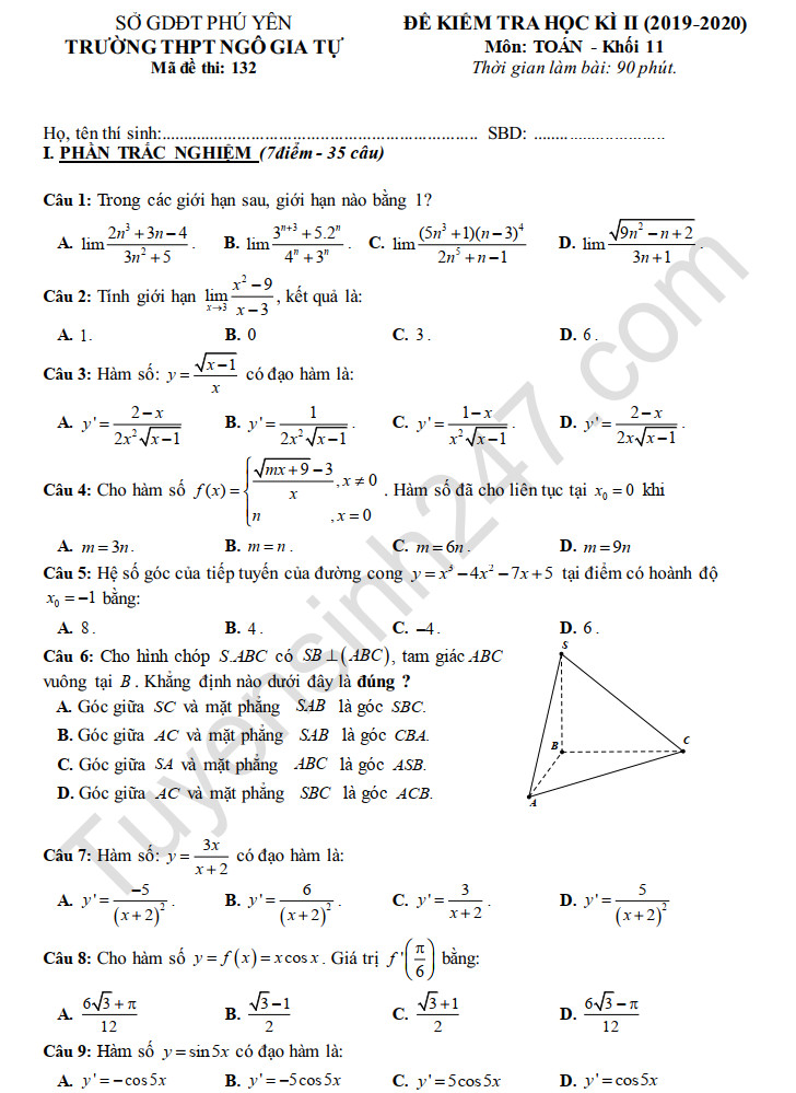 Đề thi học kì 2 năm 2020 môn Toán lớp 11 THPT Ngô Gia Tự 