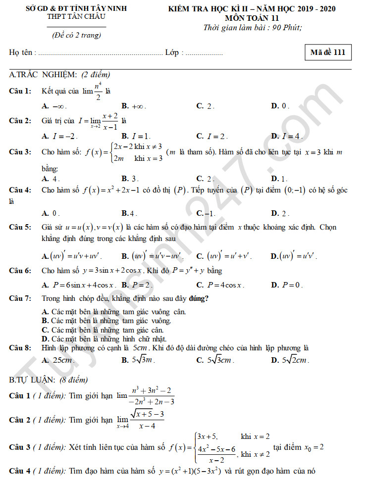 Đề thi học kì 2 môn Toán lớp 11 THPT Tân Châu năm 2020 