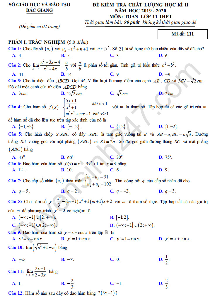 Đề thi học kì 2 môn Toán lớp 11 Sở GD Bắc Giang năm 2020