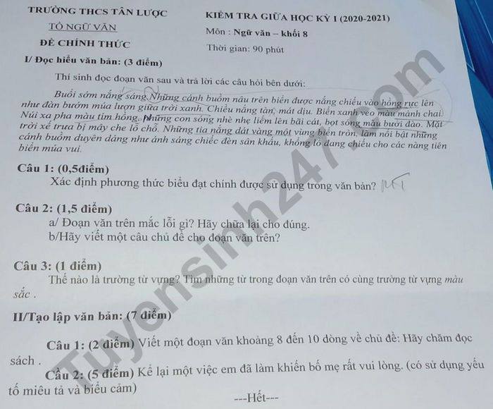 Đề kiểm tra giữa HK1 THCS Tân Lược môn Văn lớp 8 năm 2020 