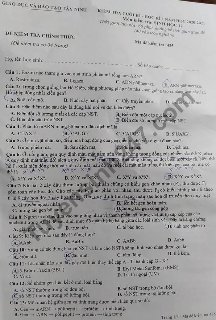 Đề kiểm tra học kì 1 năm 2020 môn Sinh lớp 12 Sở GD Tây Ninh