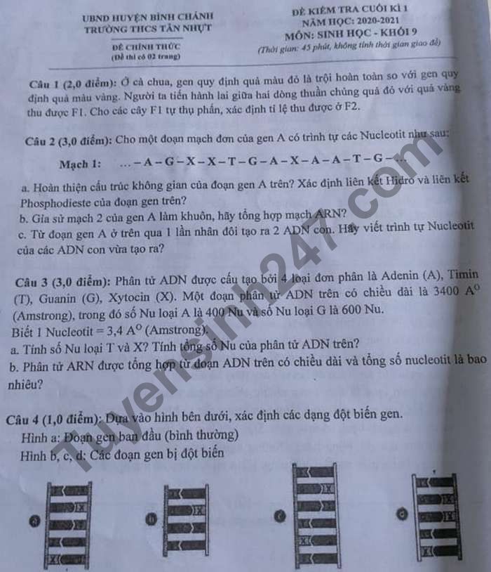 Đề kiểm tra HK1 lớp 9 môn Sinh THCS Tân Nhựt năm 2020