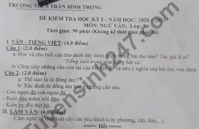 Đề thi học kì 1 năm 2020 môn Văn lớp 7 THCS Trần Bình Trọng