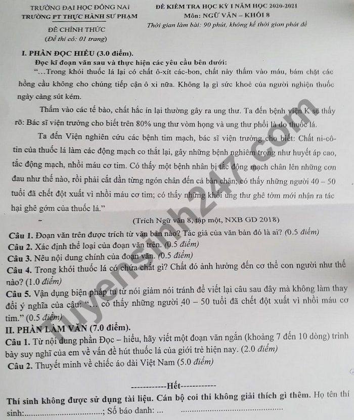 Đề thi học kì 1 trường PT Thực Hành Sư Phạm lớp 8 môn Văn 2020