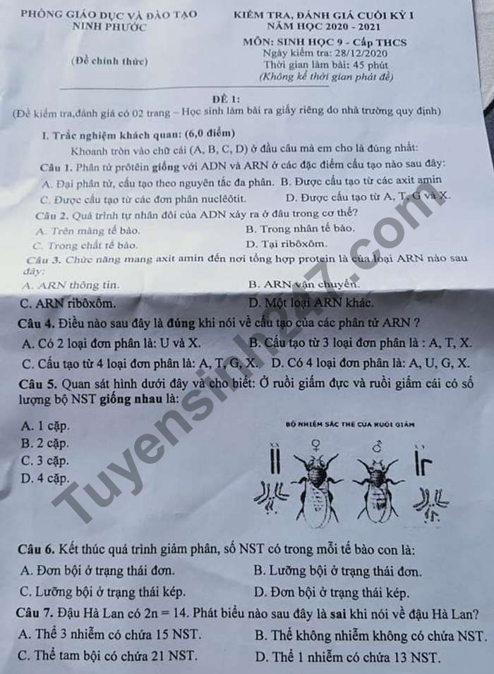 Đề thi học kì 1 năm 2020 Phòng GD Ninh Phước môn Sinh lớp 9