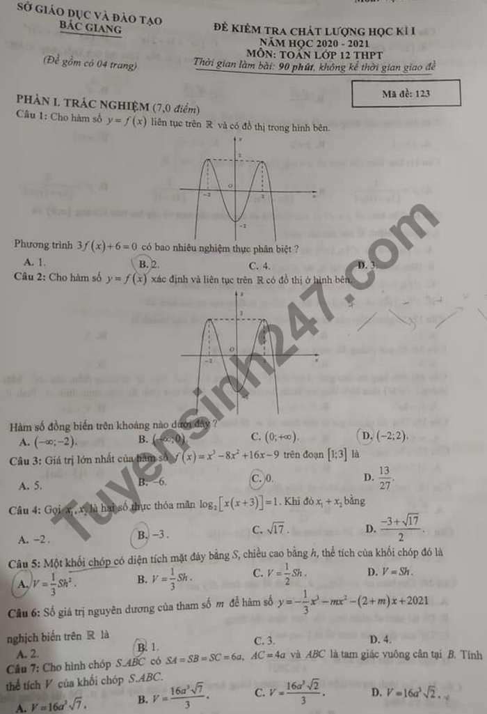 Đề thi học kì 1 Sở GD Bắc Giang lớp 12 môn Toán năm 2020 