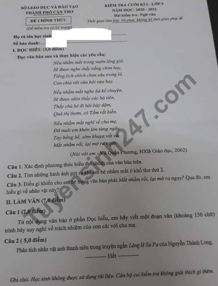 Đề thi học kì 1 môn Văn lớp 9 Sở GD TP Cần Thơ năm 2020