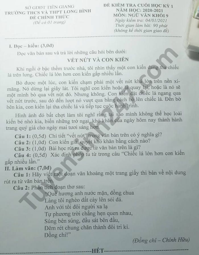 Đề thi học kì 1 THCS-THPT Long Bình môn Văn lớp 9 năm 2020