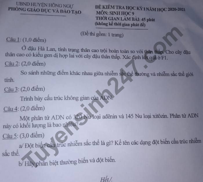 Đề thi học kì 1 huyện Hồng Ngự 2020 - 2021 môn Sinh lớp 9